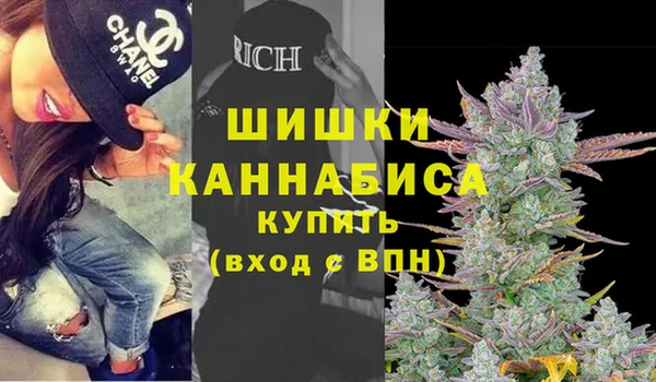 гидропоника Алзамай