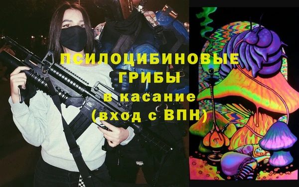 индика Алексеевка