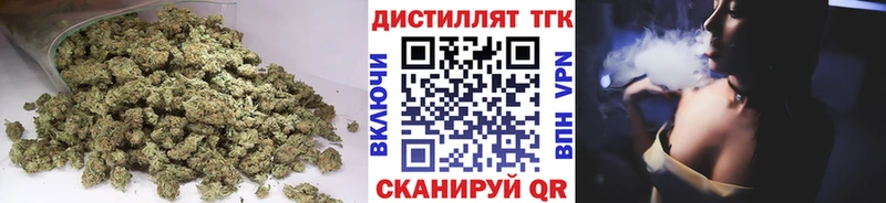 купить   Лянтор  ТГК концентрат 